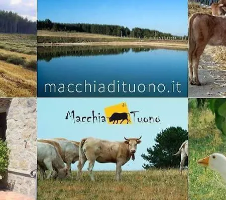 Agriturismo Macchia Di Tuono